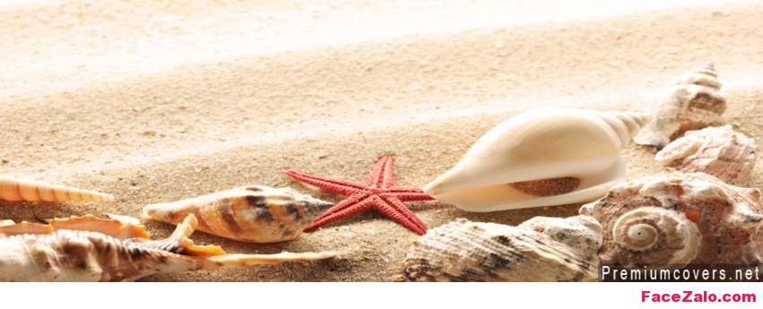 Ảnh bìa Facebook đẹp, ảnh facebook cover độc đáo, ảnh cover dùng làm bìa facebook hay, hình nền facebook đẹp ý nghĩa, hình bìa facebook dễ thương nhất, tình yêu facebook cover